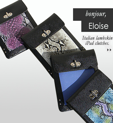 Designer iPad Cases